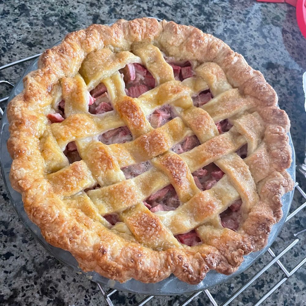 A photograph of a lattice-crust rhubarb pie in a glass dish in a cooling rack on a marble counter top.