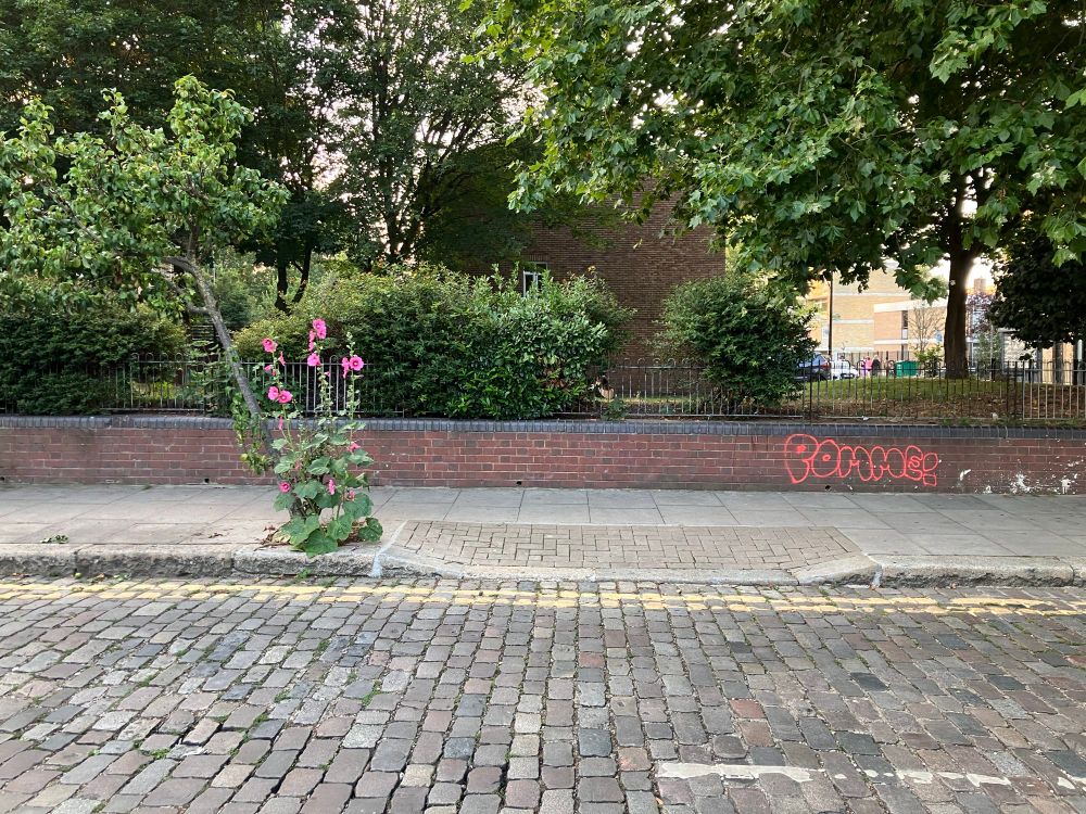 Pink hollyhocks next to a bent pear tree growing from the pavement. On the wall there’s some pink graffiti that says POMME! in Bethnal Green east London 