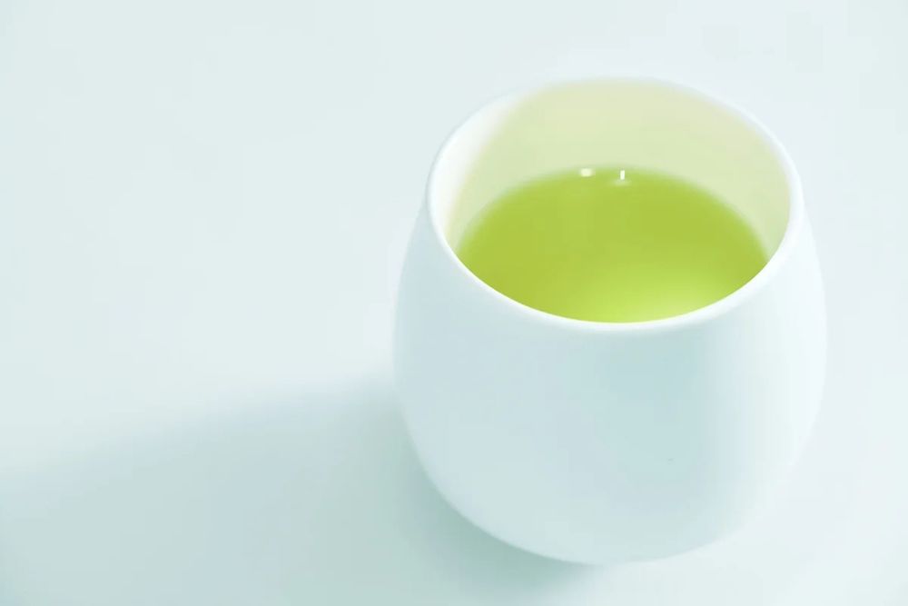 肥前吉田焼の新ブランド224porcelainが4月16日からポップアップイベント開催