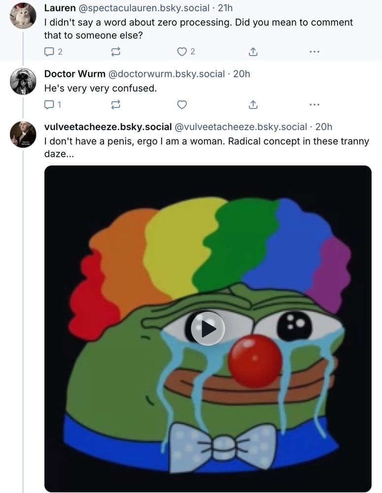 The follow-up thread, Part 2 ‪Lauren‬ ‪@spectaculauren.bsky.social‬: I didn't say a word about zero processing. Did you mean to comment that to someone else? ‪Doctor Wurm‬ ‪@doctorwurm.bsky.social‬: He's very very confused. vulveetacheeze.bsky.social [the original Bad Medical Taker]: I don't have a penis, ergo I am a woman. Radical concept in these tranny daze... [followed by a GIF of a teary Pepe the Frog in a rainbow wig]