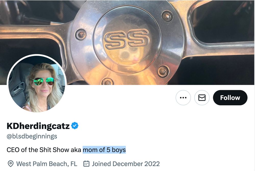 The OP's bio: CEO of the Shit Show aka mom of 5 boys (I highlighted the “mom of 5 boys” part) West Palm Beach, FL pfp=woman in sunglasses in her car