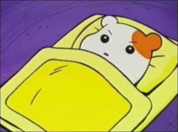 hamtaro in bed looking angy