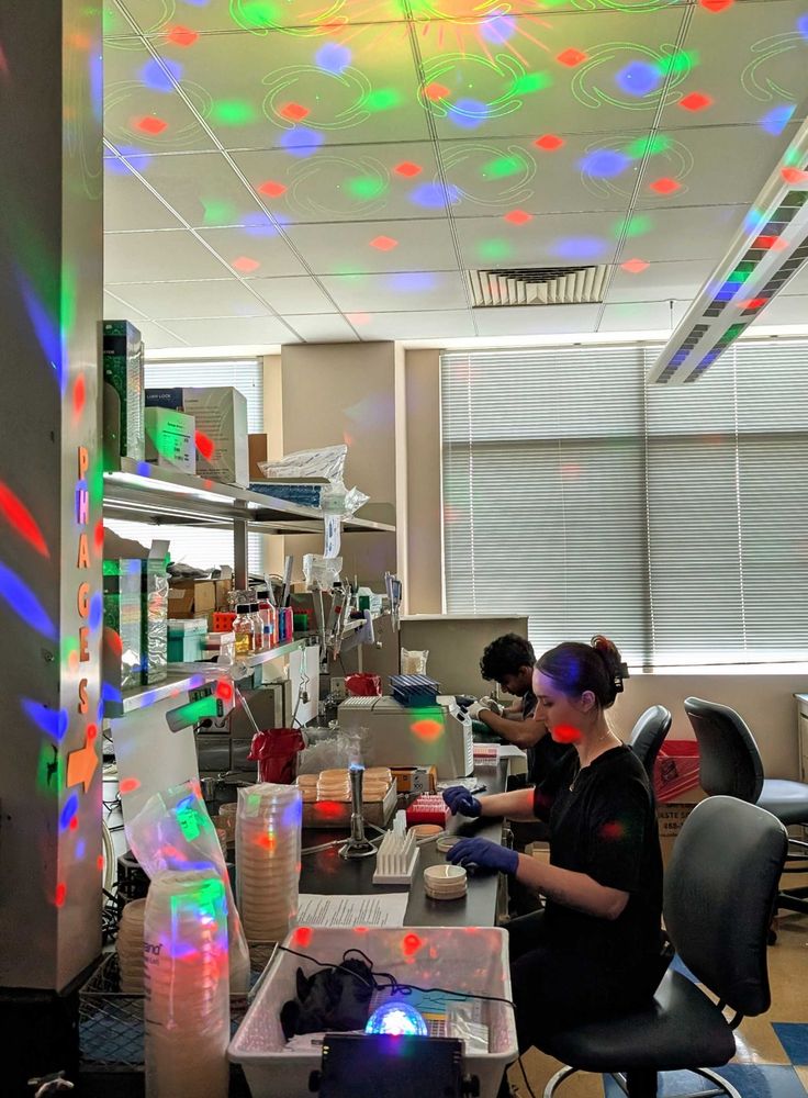 Disco lights 