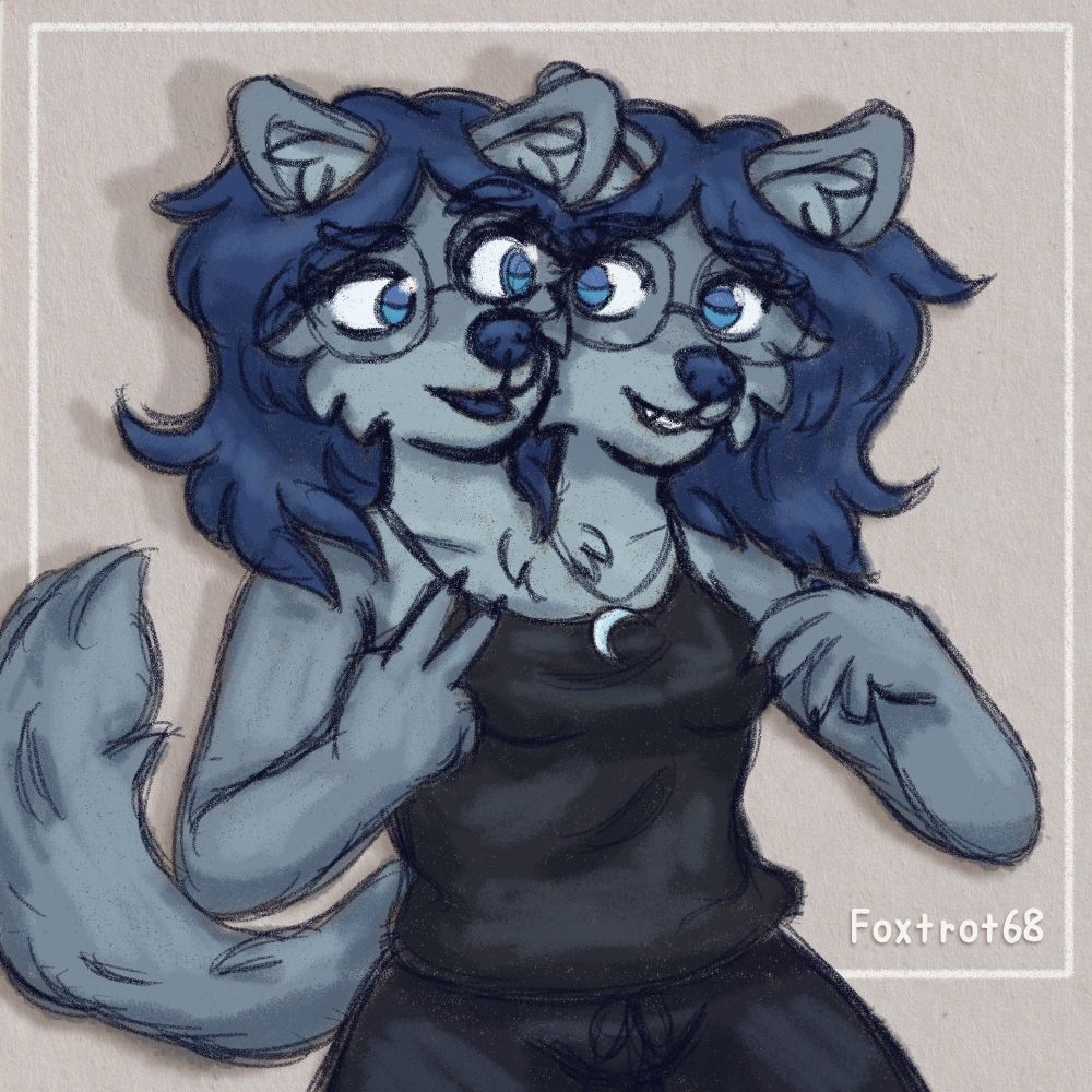 A sketch of Julia, blueish gray wolf, she has two heads and is staring at herself with them confused at the experience. She has one hand with two fingers raised, another raised in a shy position at chest height, her left head is confused and the right one looks slightly flustered. the background has a paper texture with a white box framing her, our watermark is on the bottom right.