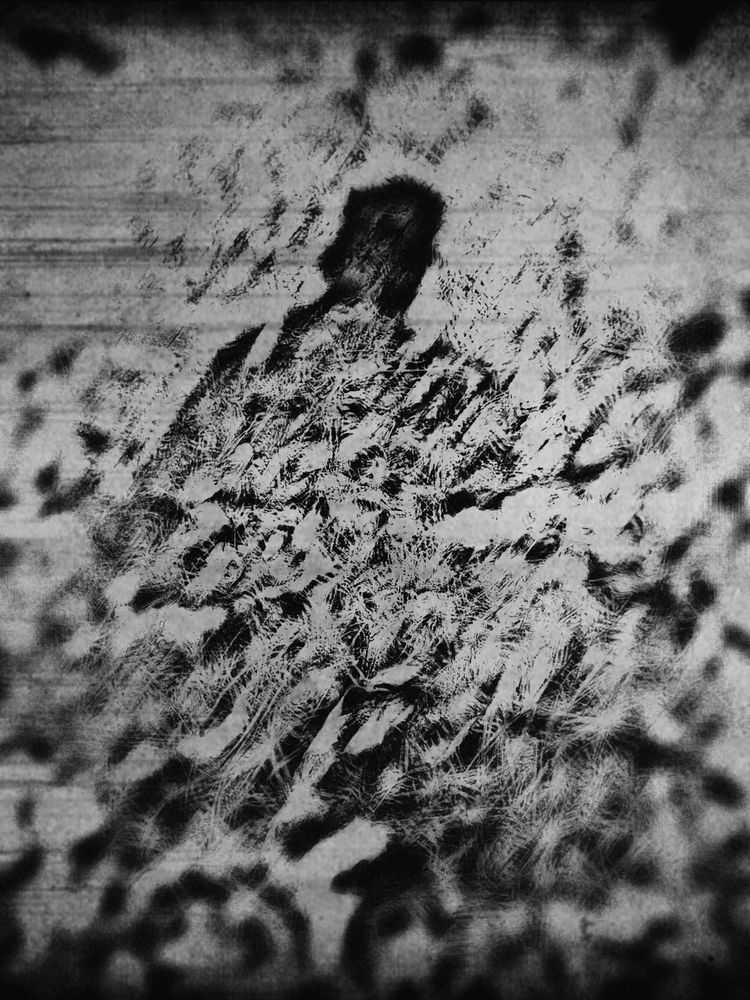 An indistinct shadowy figure dissolves into an uncertain black and white ground. 