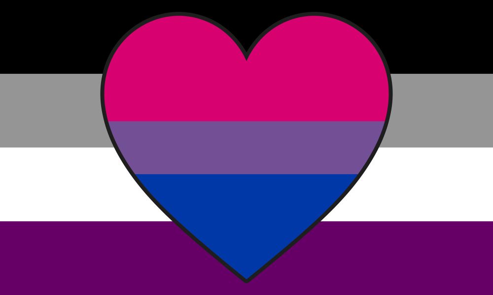 Biromantic Asexual flag:

A rectangular flag with four equal-width horizontal stripes from top to bottom: black, grey, white, and purple.

It also has a heart shape overlay in the middle that contains three horizontal stripes from top to bottom: pink, a thin purple, and blue.