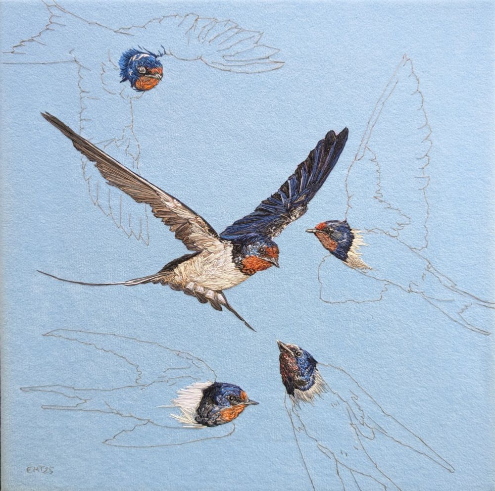 A light blue fabric background with one fully detailed hand embroidered flying Swallow with four outlines of flying Swallows with head details stitched in 