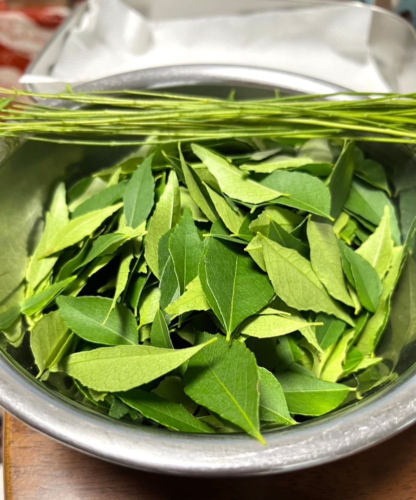 枝から葉を摘まれた状態のカラピンチャ。