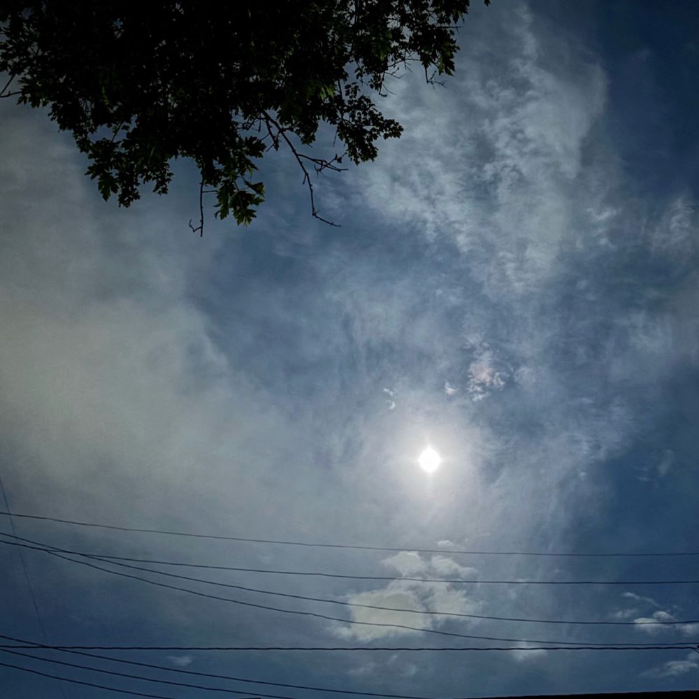 Night sky with moon shining through layers of thin clouds, some power lines cutting across the bottom of the frame and a cluster of branches and leaves along the upper left edge