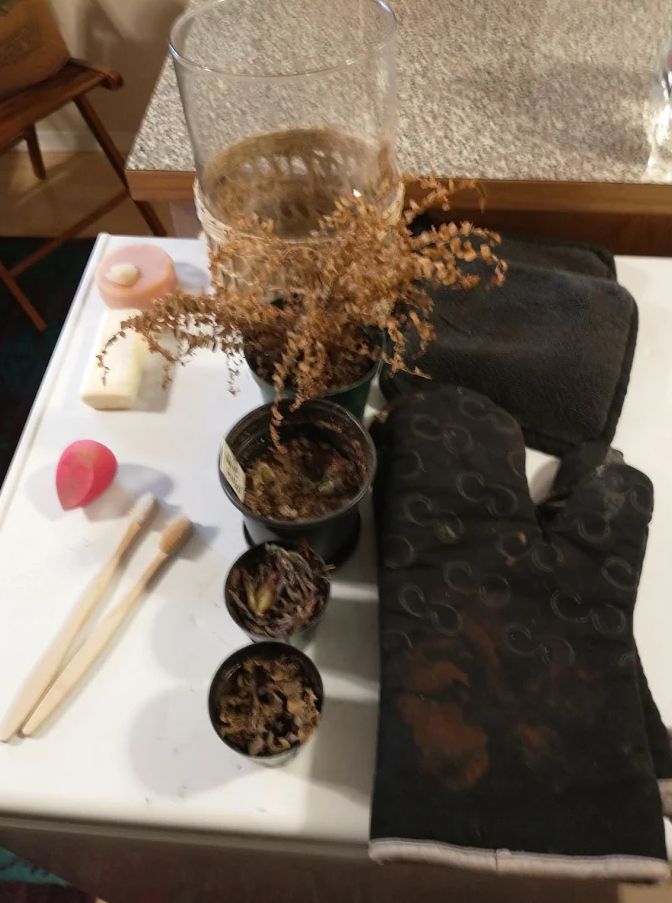 2 old toothbrushes,  4 scrofulous black oven mitts,  5 dead plants, 3 dessicated soaps, 1 pink makeup sponge