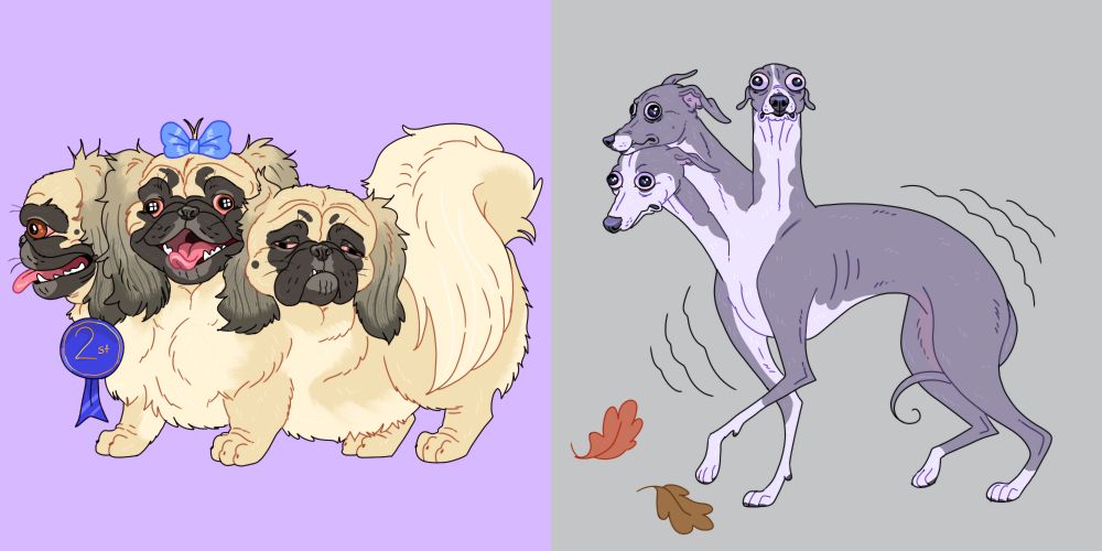1. A cerberus pekingese won 2st prize at the cerberus show! Or as they like to call it, "not food"

2. A cerberus italian greyhound shivers pitifully and huddle close to one another for warmth. it's not suppose to be kermit but i know you'll ask anyways so, if you want it to be thats fine, i legally cannot stop your head canon. 