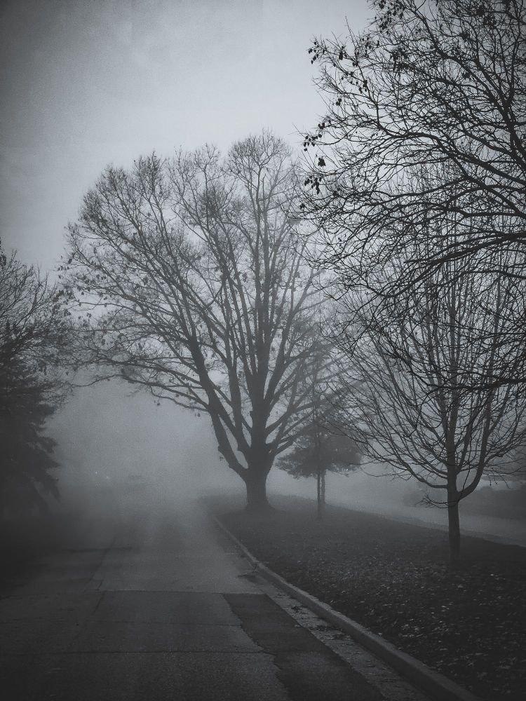 Foggy street