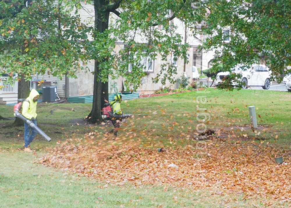 Backyard cleaning 🍂🍁