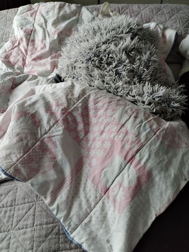 Kaksi pientä peittoa sängyn päällä. Peitojen alla kaksi koiraa, joista ei näy mitään. 