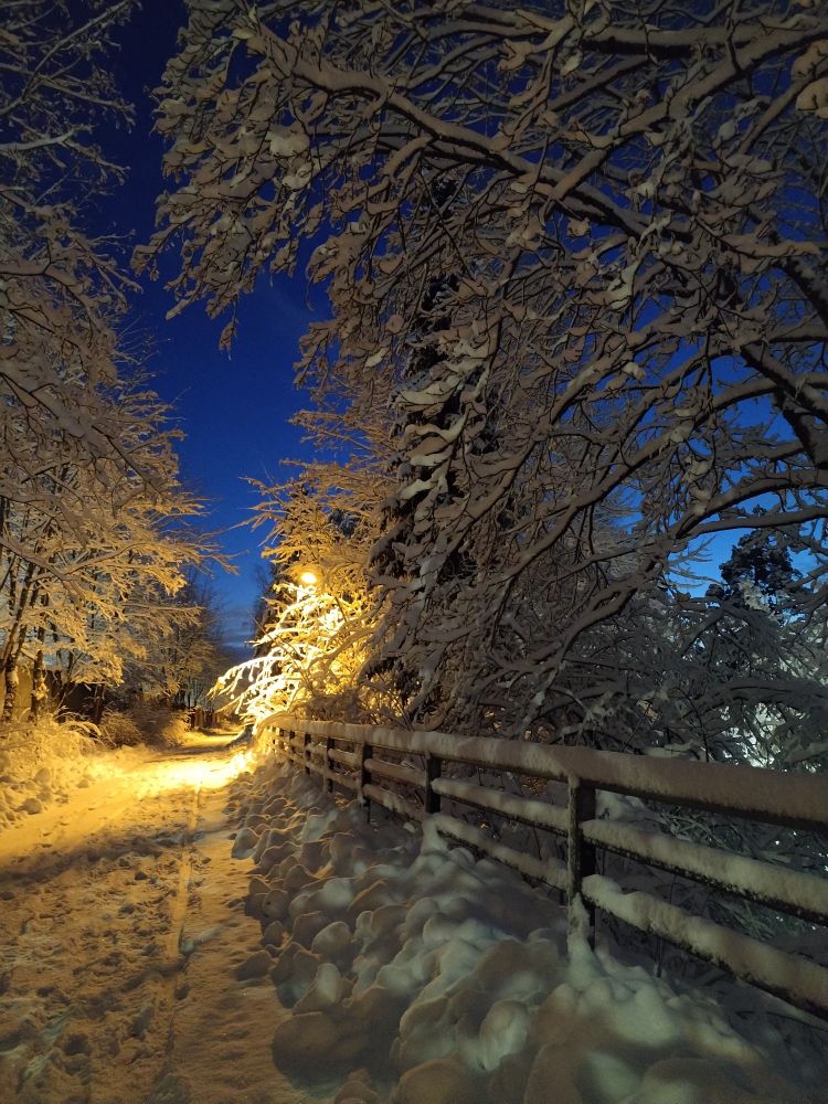 Luminen maisema kävelytiellä. 