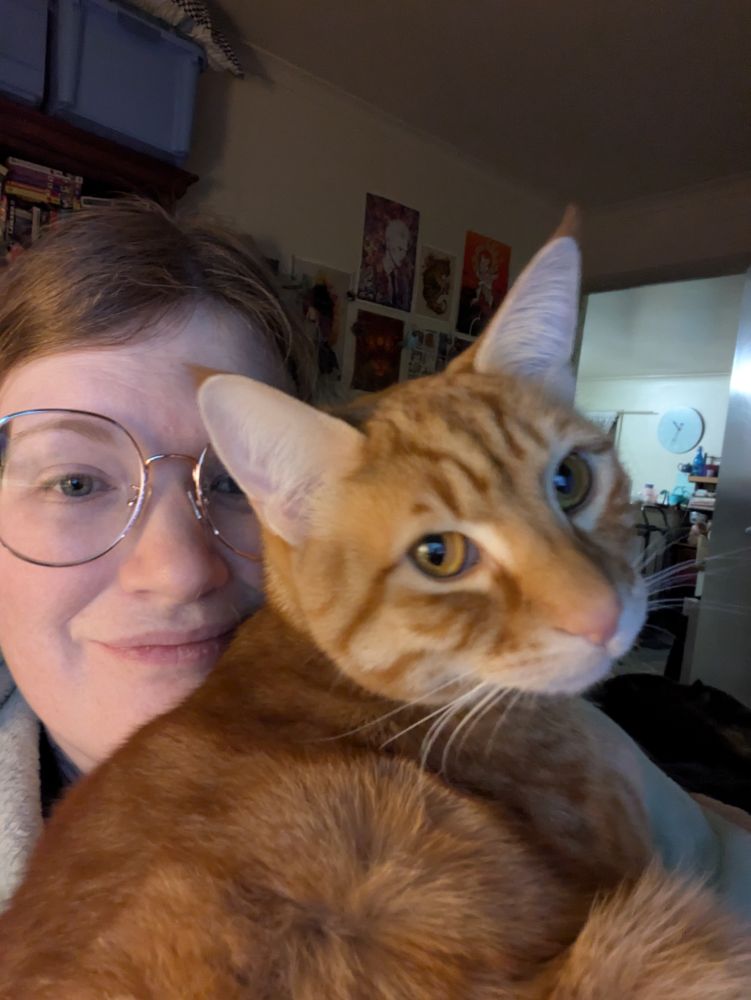 Handsome orange cat being held in my arms