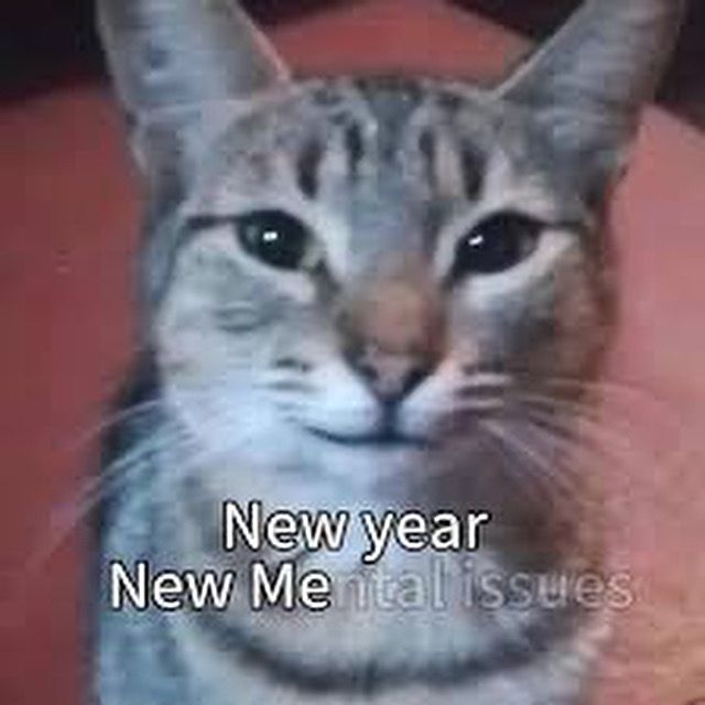 A cat with text underneath saying new year new me. Me is highlighted and ntal issues faded. A play on words. New me new mental issues.