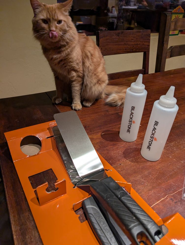 An orange cat is sitting on a wood table where some new Blackstone griddle spatulas and squirt bottles are being unboxed. He's mid-face lick so his tongue is sticking out, almost like he's excited for a dinner cooked on the new griddle