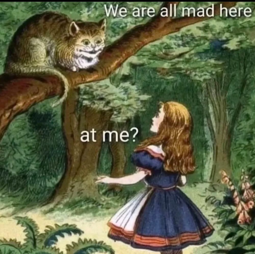 A meme that shows an illustration from Alice in Wonderland where the cat says we’re all mad here. Alice then asks ‘at me?’ 