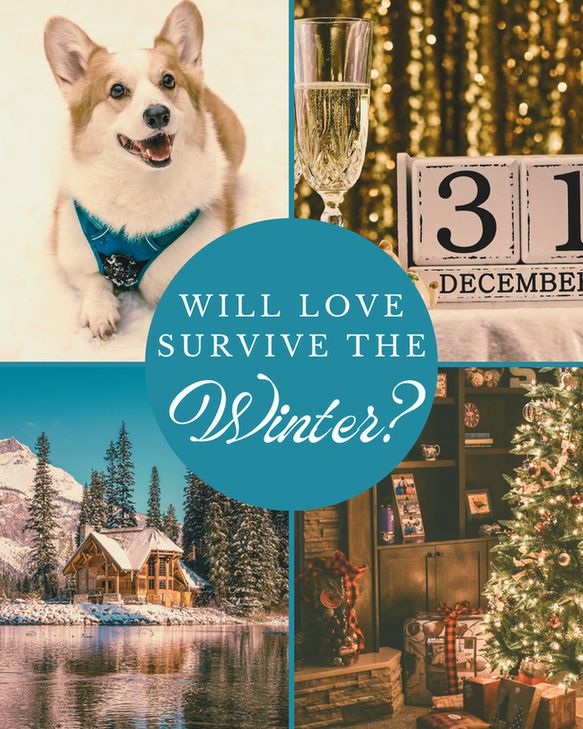 will love survive the winter? corgi, christmas lake house, new years eve collage