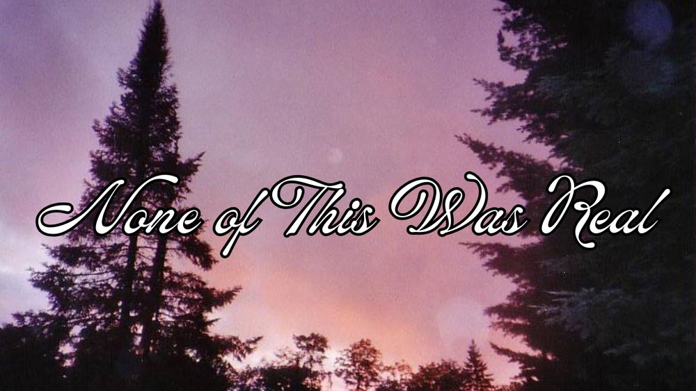 Pine trees and sun set with the book title none of this was real 