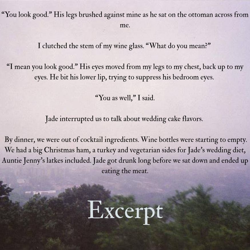 excerpt:
“You look good.” His legs brushed against mine as he sat on the ottoman across from me.

I clutched the stem of my wine glass. “What do you mean?” 

“I mean you look good.” His eyes moved from my legs to my chest, back up to my eyes. He bit his lower lip, trying to suppress his bedroom eyes. 

“You as well,” I said.

Jade interrupted us to talk about wedding cake flavors. 

 By dinner, we were out of cocktail ingredients. Wine bottles were starting to empty. We had a big Christmas ham, a turkey and vegetarian sides for Jade’s wedding diet, Auntie Jenny’s latkes included. Jade got drunk long before we sat down and ended up eating the meat.