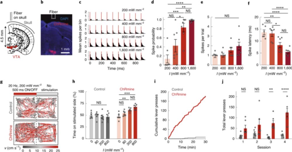 Deep brain optogenetics without intracranial surgery - Nature Biotechnology