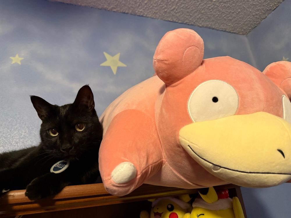 Black cat laying down against a large pink Slowpoke plush. The shelf below has some small Pikachu plushies. 