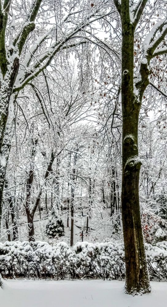 Jardins de la maison Albatros de Trois-Rivières.