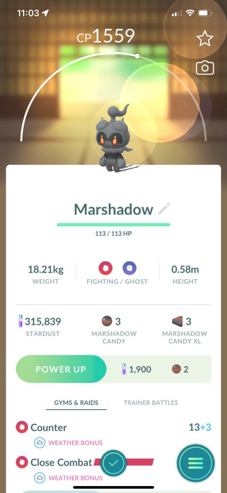 Screenshot of a Marshadow in Pokemon GO 