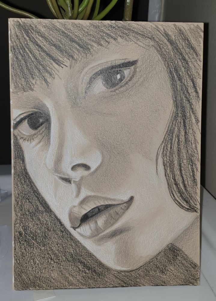 Pencil drawing in warm grey tones of a close up of a young female face looking at you, the viewer