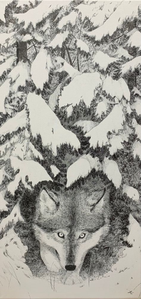 Wolf head peeking out from under snow covered pine tree