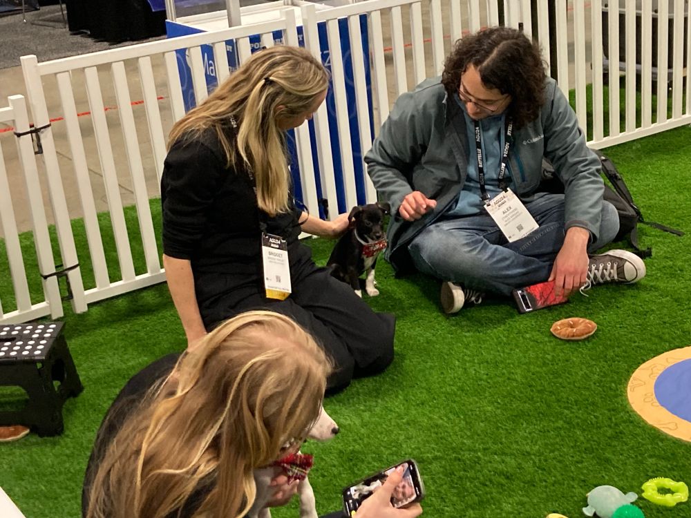 A woman and a man sitting on fake grass surrounded by a low white picket fence with a puppy between them; they look happy petting the dog; another woman sit with another puppy and appears to be taking a selfie with the pooch. And who could blame her? It's not every day that one has a puppy in one's lap while at a meeting!