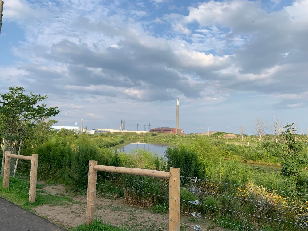 A lush green river surrounded by newly planted trees, wetlands, and meadows.  A decommissioned power plant and large power lines are visible in the background amidst a partially cloudy sky.