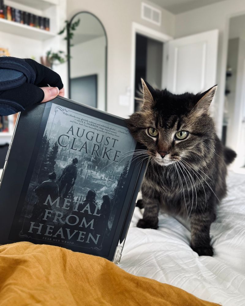 A hand holding an e-reader and a cat are on a bed that has white and yellow linens. The e-reader is displaying the cover of Metal From Heaven by August Clarke. A medium haired tabby colored cat is rubbing its face on the corner of the e-reader