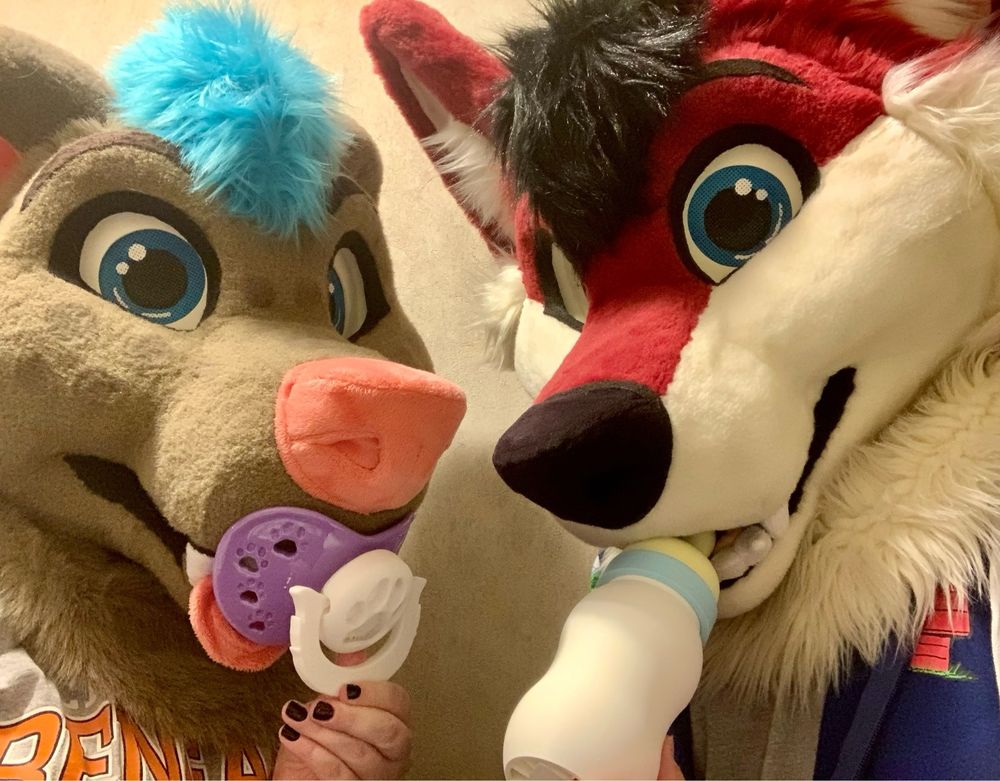 Bear and fox fursuiter holds fans shaped like a pacifier & bottle 
