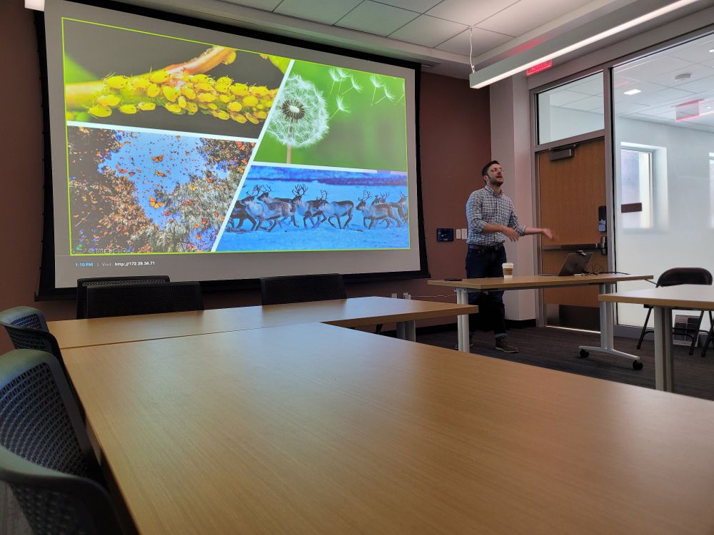 Various examples of dispersal across the tree of life: aphids, dandelion seeds, monarch butterflies, elk