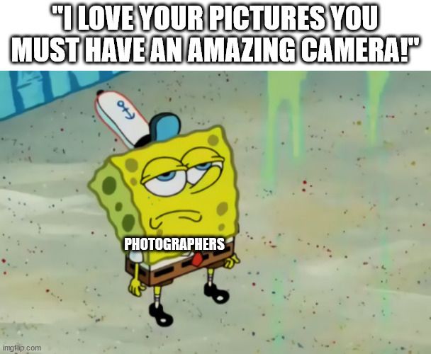 unimpressed spongebob meme with a caption above it quoting a third person "I love your pictures you must have an amazing camera!" 

a small caption is on spongebob looking unimpressed that says "Photographers"