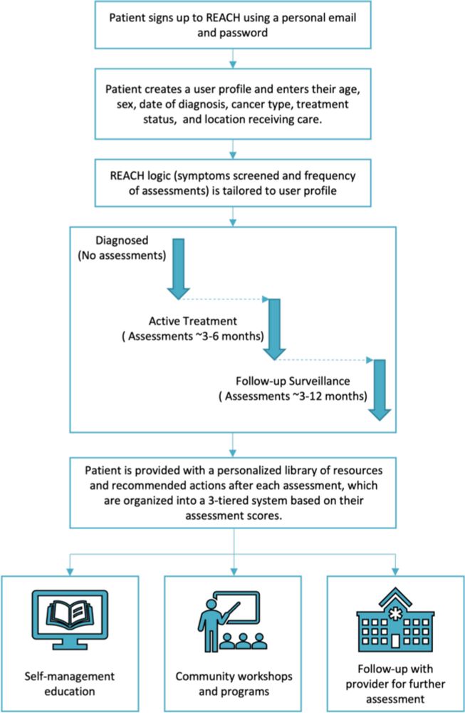 Use of implementation mapping to develop a multifaceted implementation strategy for an electronic prospective surveillance model for cancer rehabilitation - Implementation Science Communications