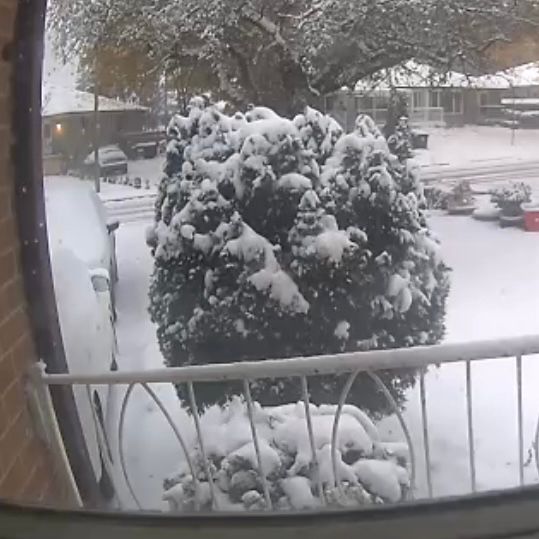 a snow covered front yard and partial view of a driveway with two snow covered cars