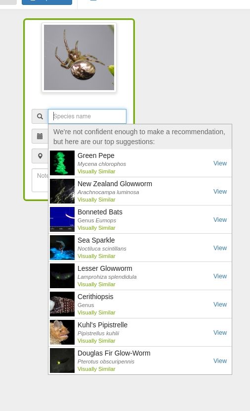 A screenshot of an iNaturalist observation being made using a photo of what is very clearly a spider, and the suggested ID'S range from Green Pepe to glow worms to bats, with not a spider of any kind making the list.