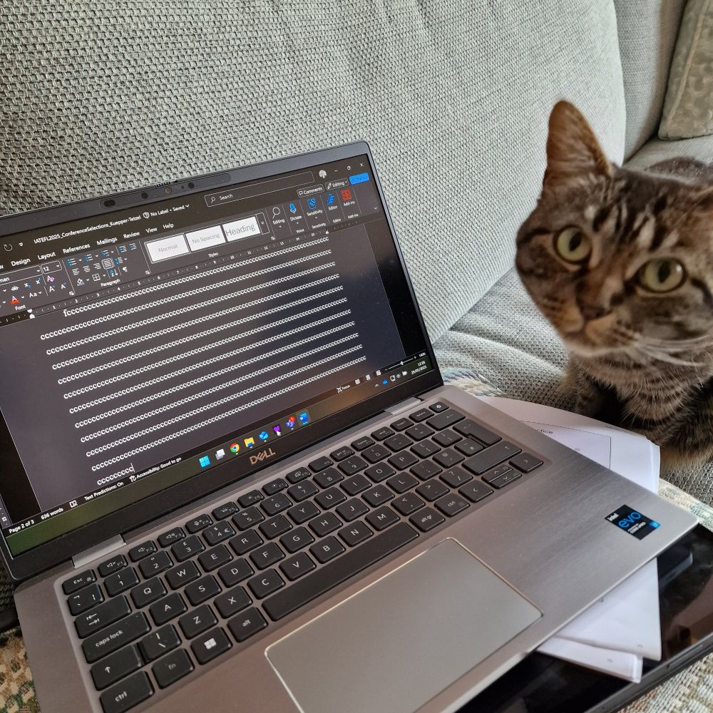 A laptop with the letters fccccccccccccc in a Word document and a tabby cat is sitting next to the laptop looking into the camera. 