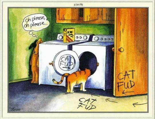 1985 Far Side cartoon featuring a cat gazing into a washing machine with an open door labeled 