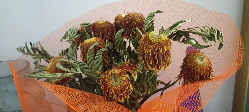 Ramo de gerberas pochas. 