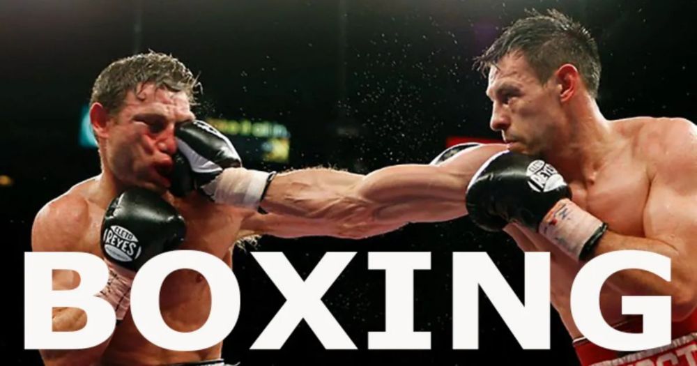 Cá cược boxing online là gì? Hướng dẫn chơi qua mạng