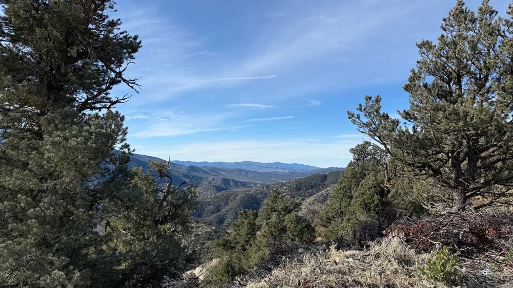 A pine tree on the left and right, with mountains in the background and a blue and white sky above 