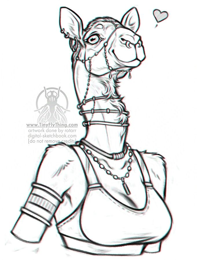 beautiful camel lady with lots of jewelery
