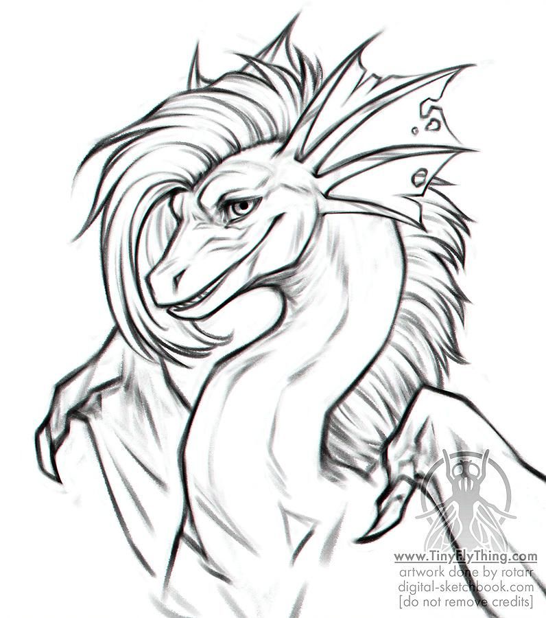 dragon portrait looking at the viewer