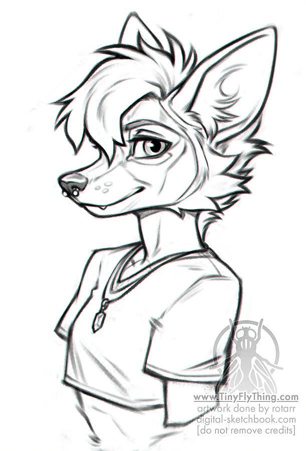 cool nonbinary fox person 