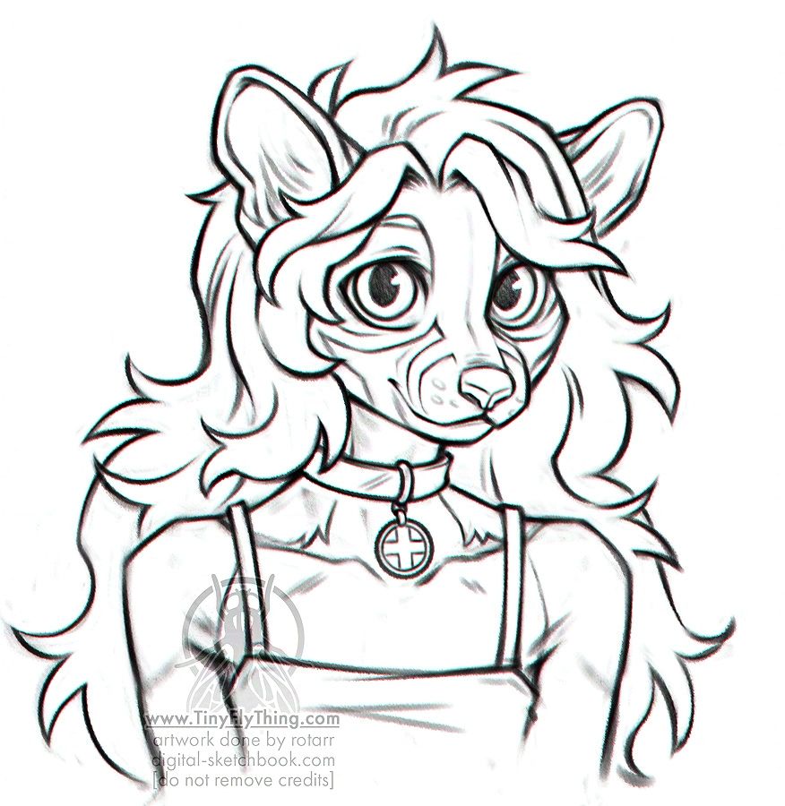 cute ringtail furry girl looking at the viewer